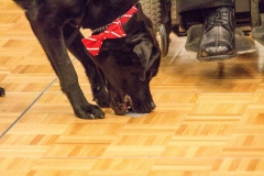 December-05-2015-286